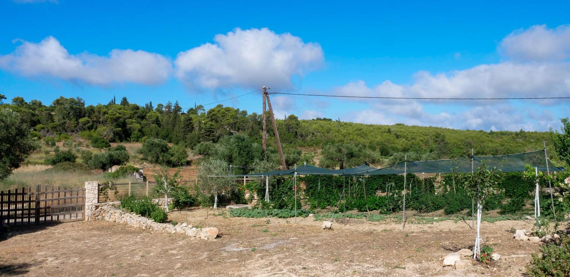 Fterini Apartments Sterna & Alletri Agios Leon Exterior photo
